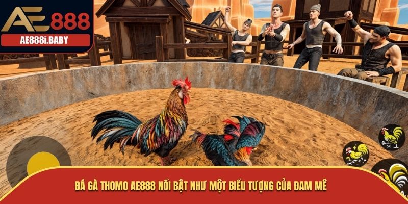 Đá gà Thomo AE888 nổi bật như một biểu tượng của đam mê