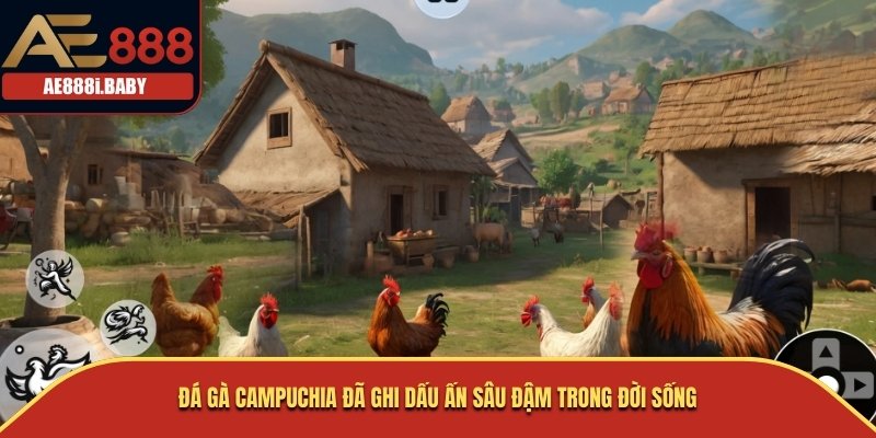 Đá gà Campuchia đã ghi dấu ấn sâu đậm trong đời sống