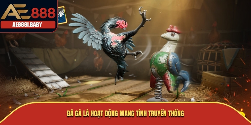 Đá Gà Cựa Dao - Nghệ Thuật Chiến Đấu Cùng AE888 2025 3 Đá gà là hoạt động mang tính truyền thống